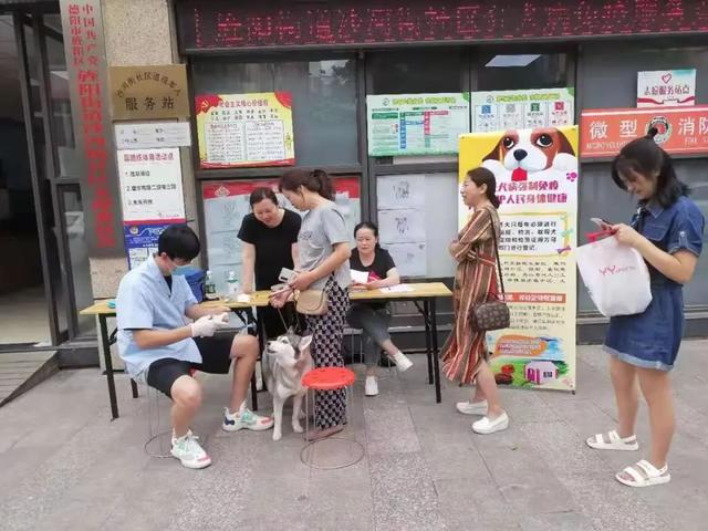 @德阳人 免费给狗狗打狂犬疫苗了！时间、地点看这里→休闲区蓝鸢梦想 - Www.slyday.coM