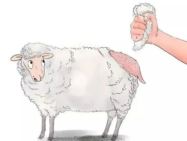 三名在校大学生网上“薅羊毛”诈骗近百万获刑，庭审忏悔发人深省休闲区蓝鸢梦想 - Www.slyday.coM