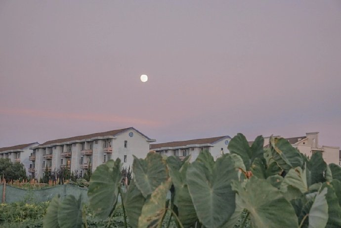 已经