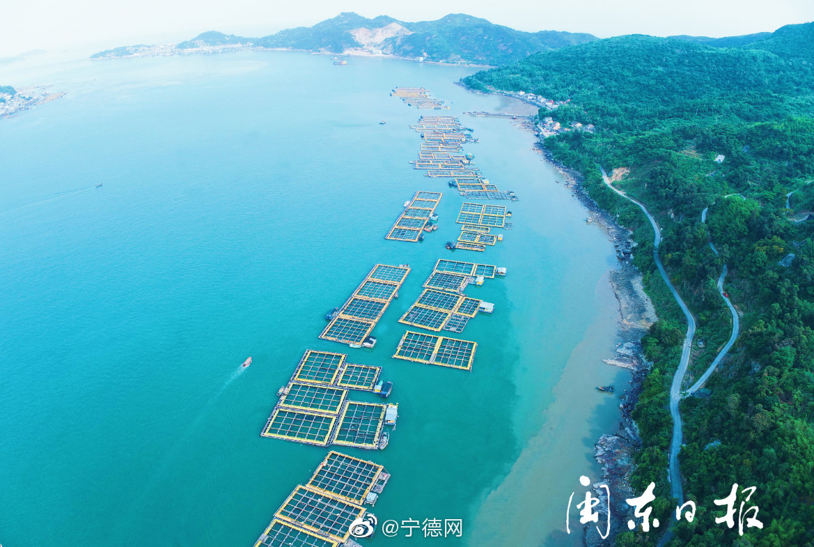 1 / 4  6月25日是一年一度的端午佳节,福鼎市沙埕镇镇长蔡清浙与80余