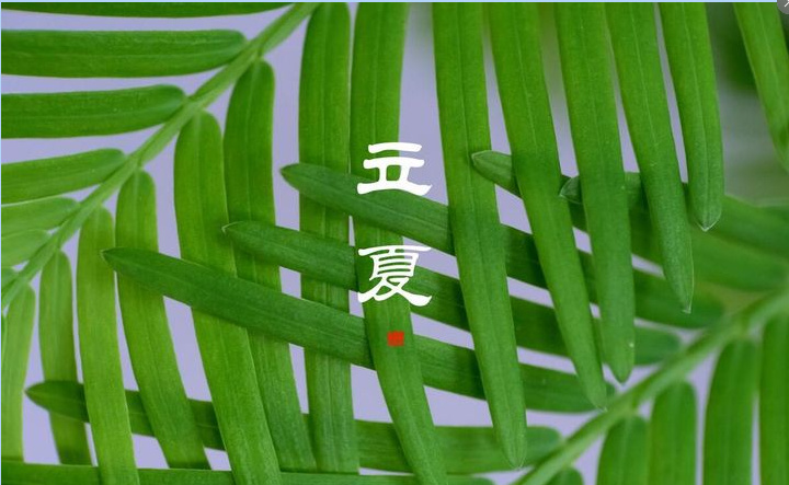 立夏将至,这5个民间习俗要记牢,遵循祖宗老传统,家人更安康