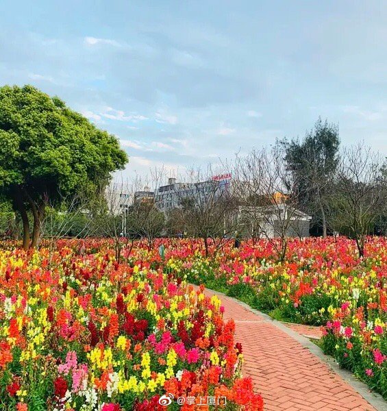 廈門忠侖公園每個入口風景都不一樣贊啊