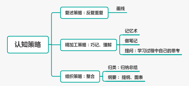 重点梳理 01认知策略 选择/辨析 ▎知识讲解