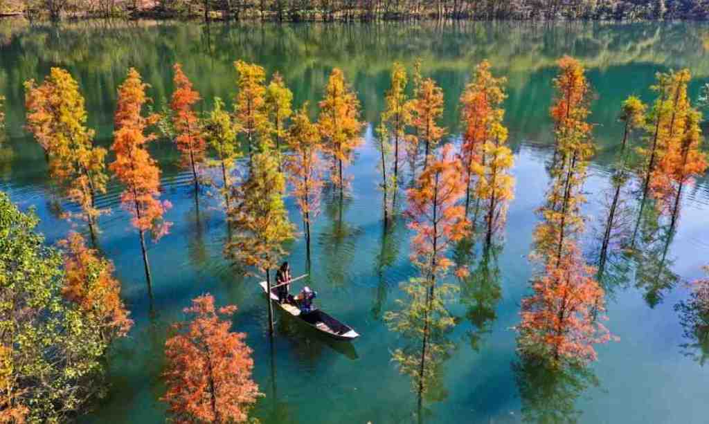 我承认，我被这样的恩施秋色迷住了休闲区蓝鸢梦想 - Www.slyday.coM