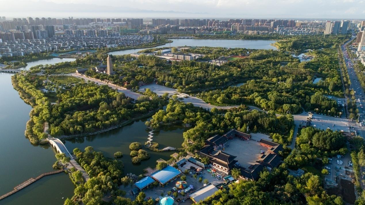 高质量推进先行区建设丨宁夏兴庆区焕发生机逆势上扬