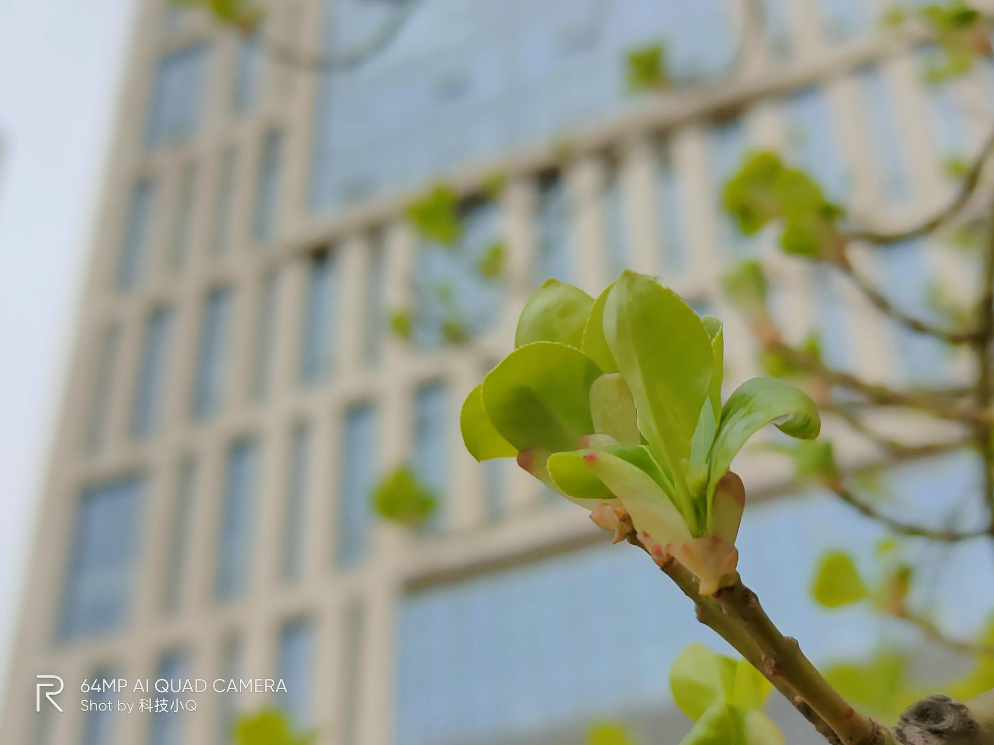 真我X50 Pro 5G手机体验之后！小身材却拥有巨大性价比！