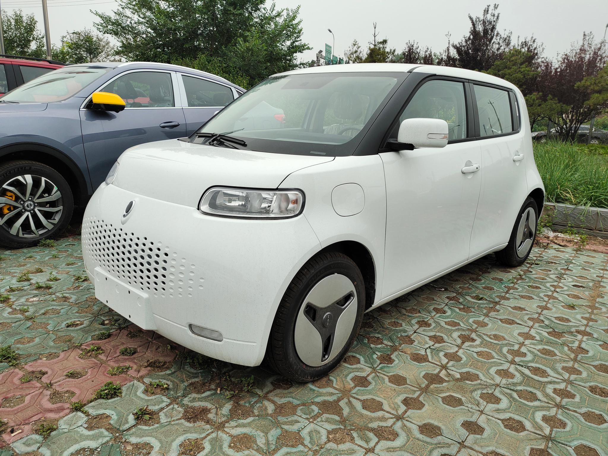 发现一只小白猫,欧拉r2跟欧拉r1相比你更喜欢哪个造型?