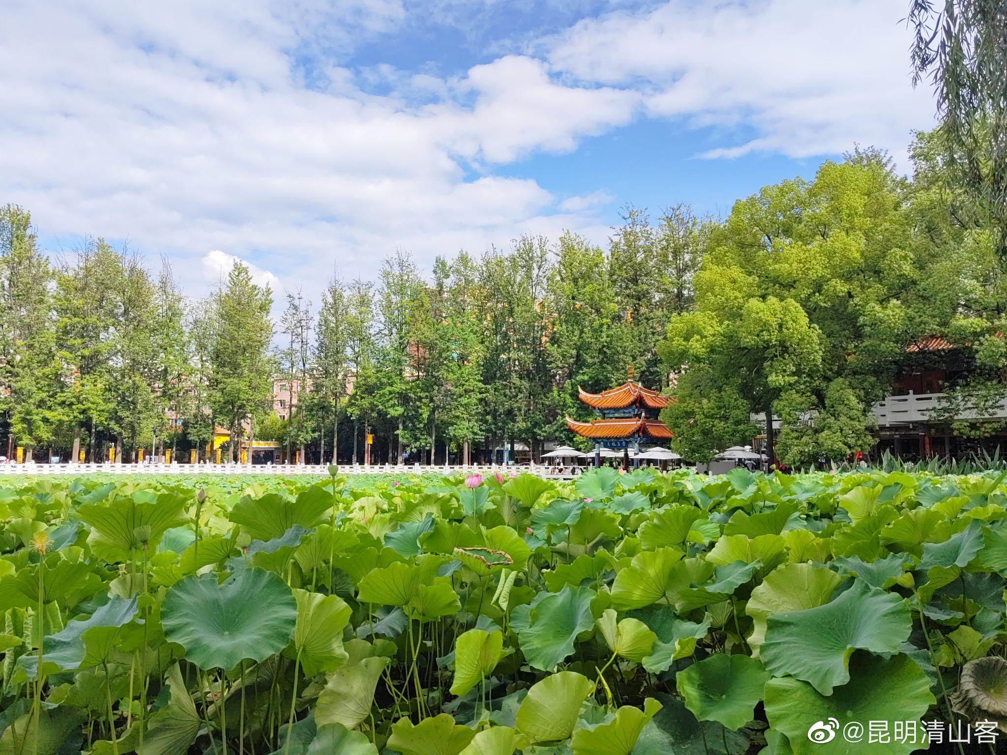 初秋的昆明翠湖公园@内拉在路上 @云南旅游忆旧喜新__财经头条
