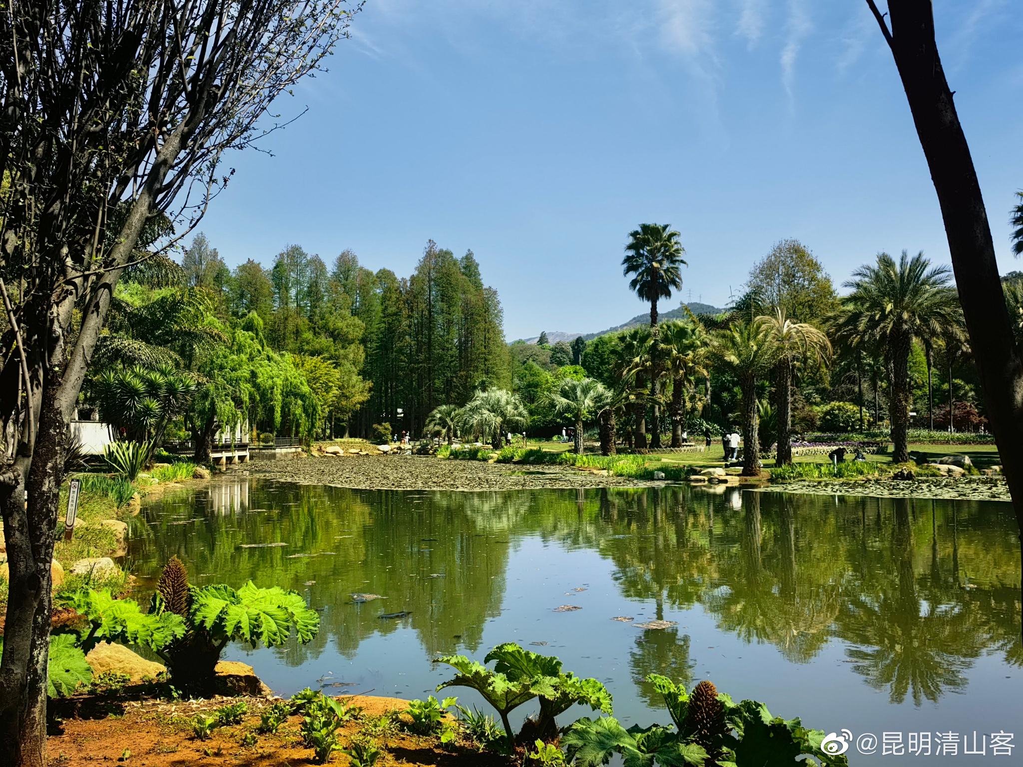 昆明植物园东园水景