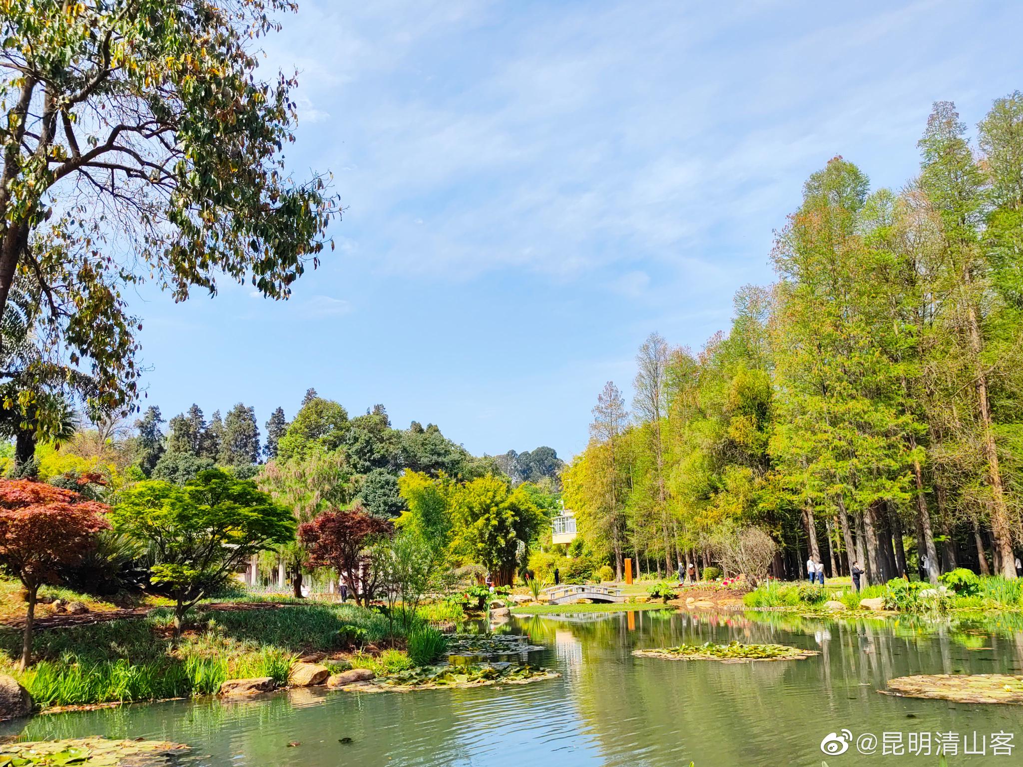 昆明植物园东园水景