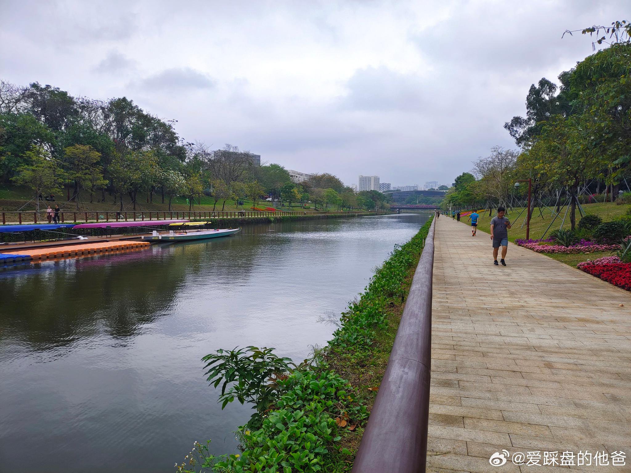 大沙河公园,上午锻炼中|大沙河公园|新冠肺炎_新浪新闻