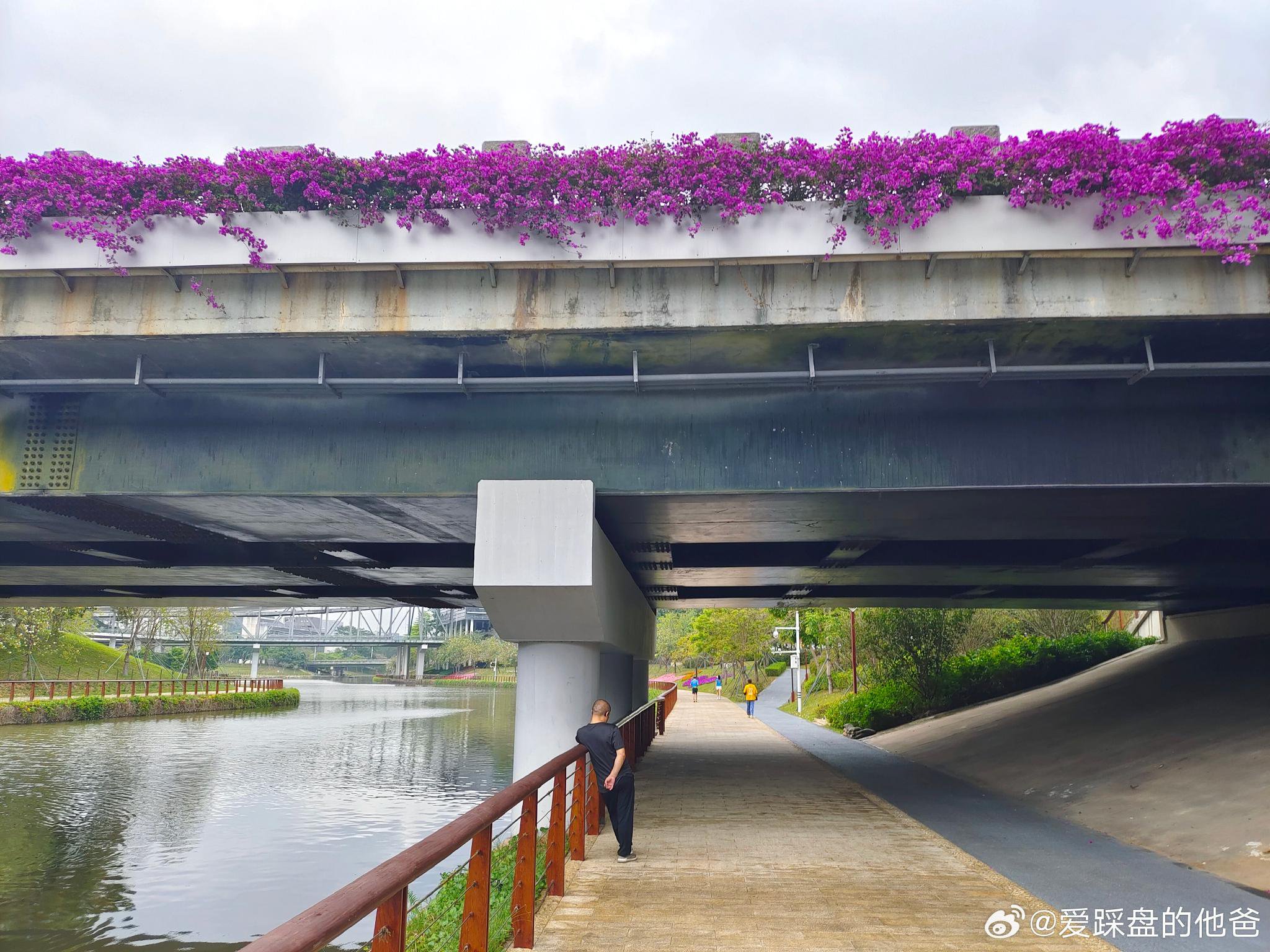 大沙河公园,上午锻炼中|大沙河公园|新冠肺炎_新浪新闻