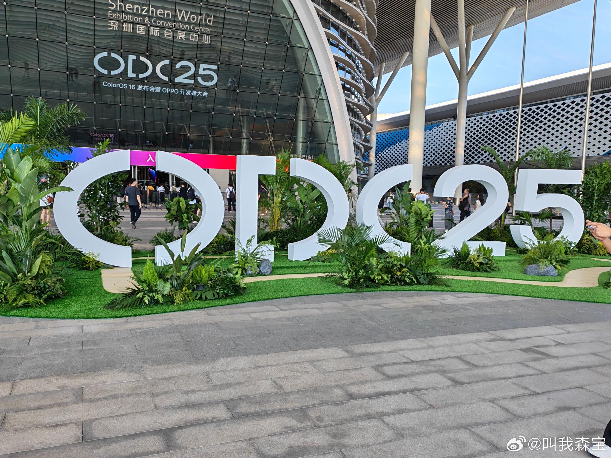 商丘哪里有100块的巷子