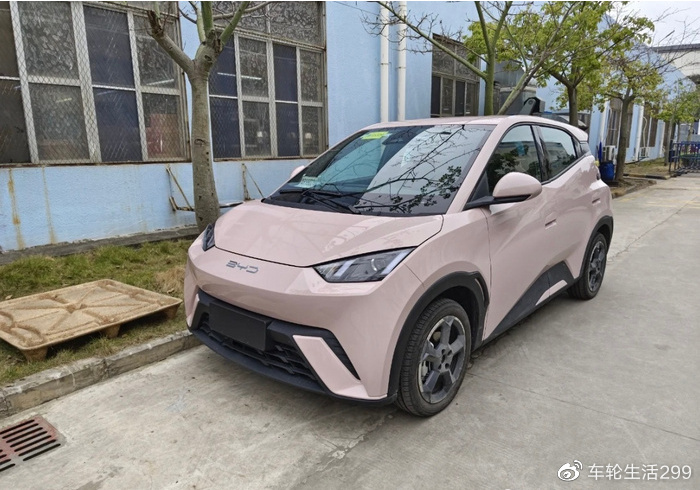 比亚迪又一款全新纯电SUV曝光,或命名海狮,气场不俗-新浪汽车