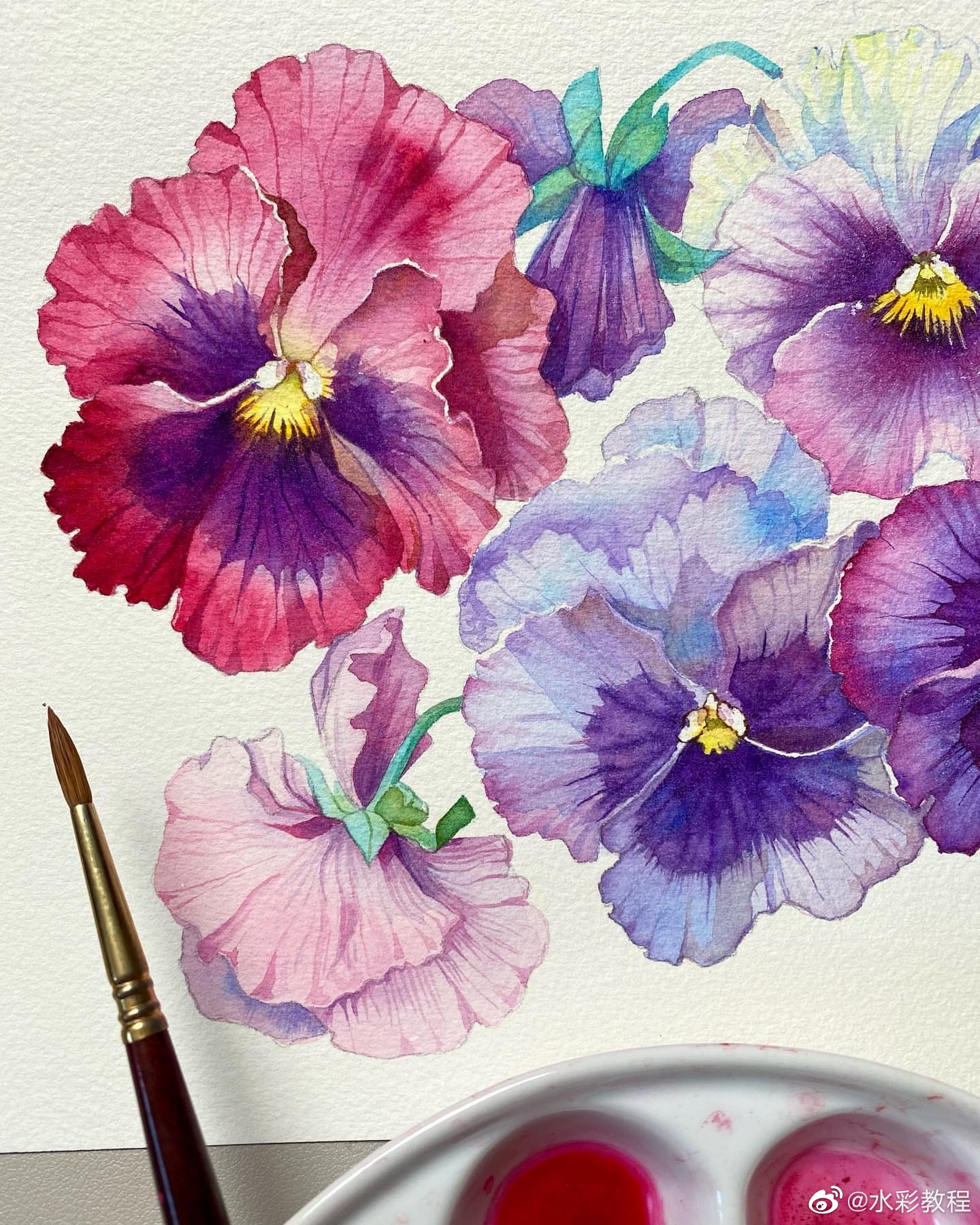 水彩花卉作品欣赏