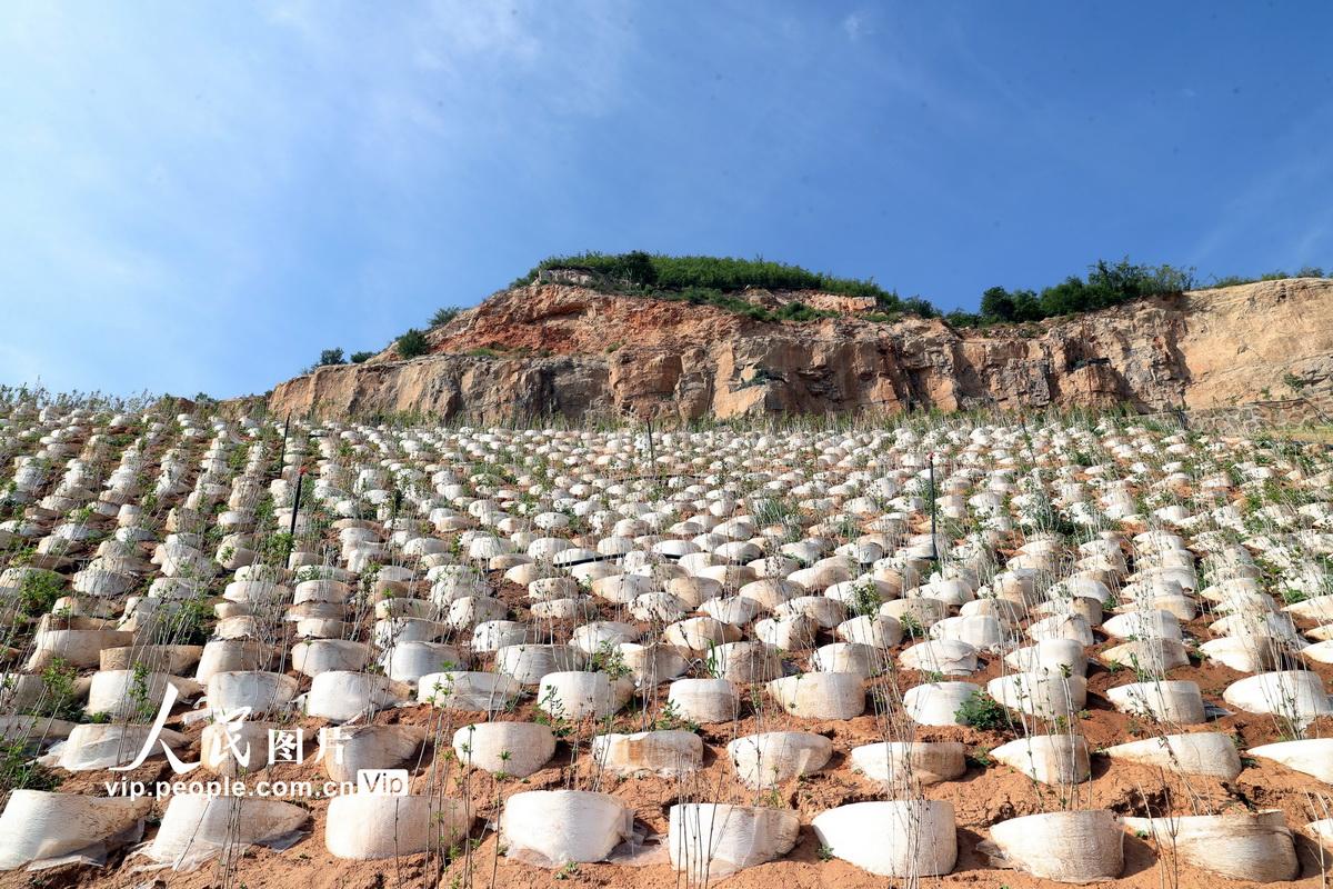 河北井陉矿山修复治理改善生态环境