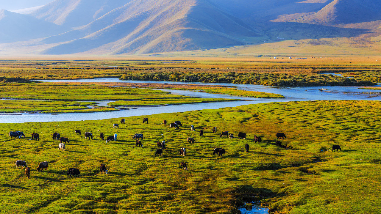 新疆的美是开阔的,是大气简洁的,是壮美和震撼的