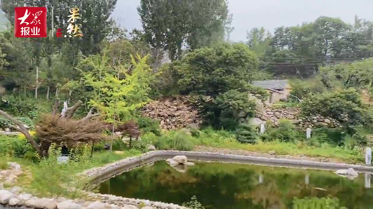 泰安夏天旅游私藏好去处 打卡小众休闲景点沙岭金螭霖鱼园 泰安夏天旅游私藏好去处 打卡小众休闲景点沙岭金螭霖鱼园
