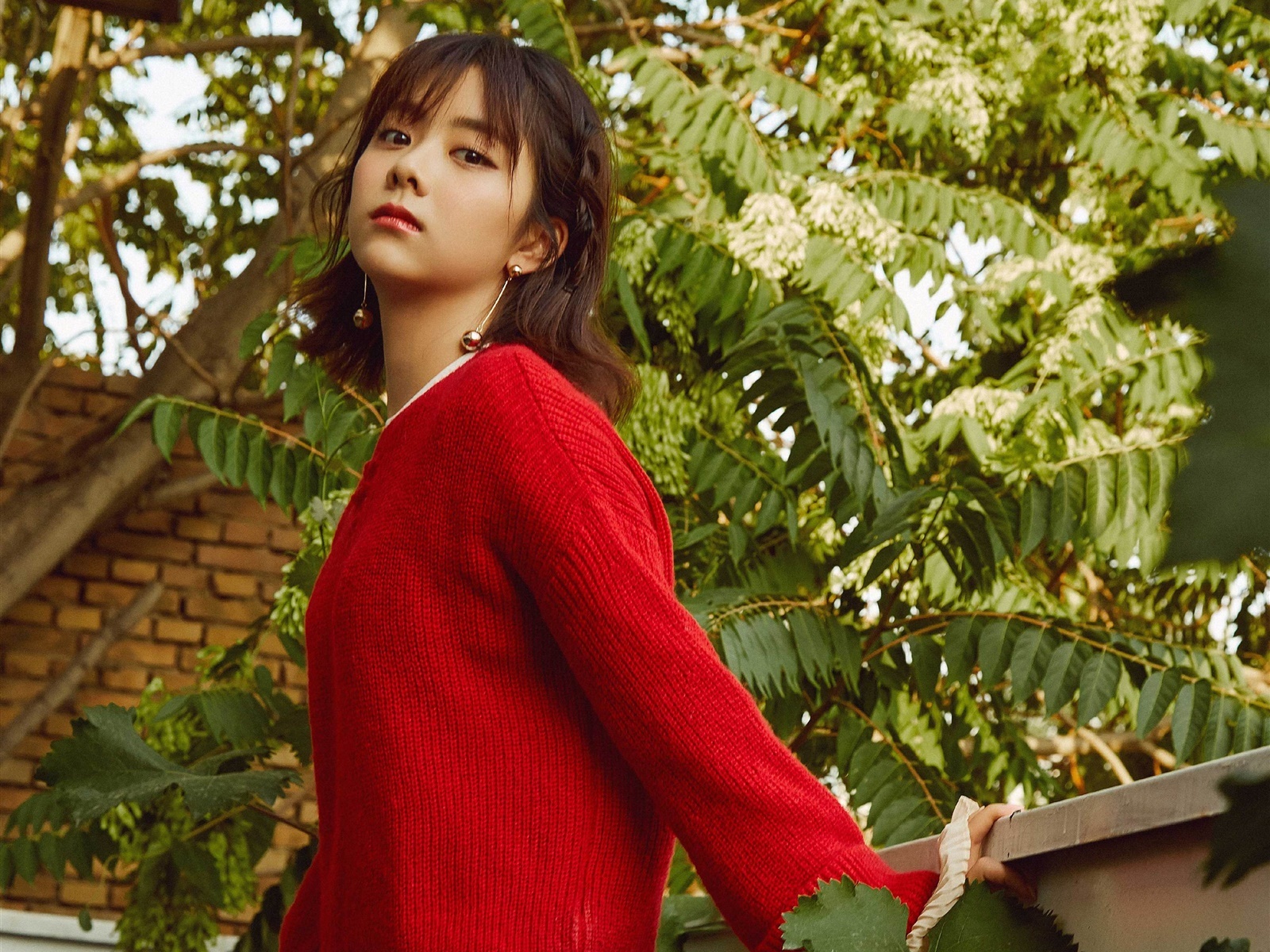 谭松韵|红色毛衣清新写真