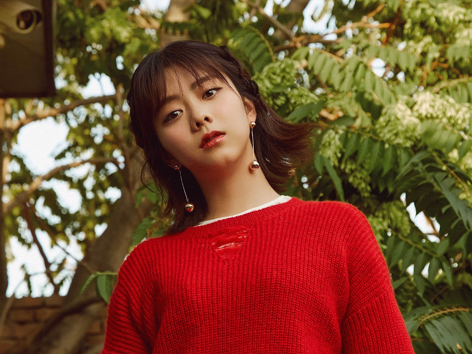 谭松韵|红色毛衣清新写真__财经头条
