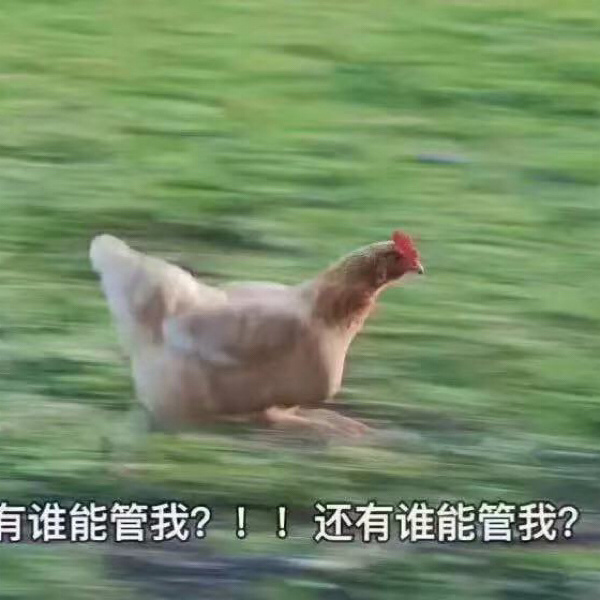 憋不住了 太想放假了 把放假表情包都分享给我的社畜小伙伴们__财经