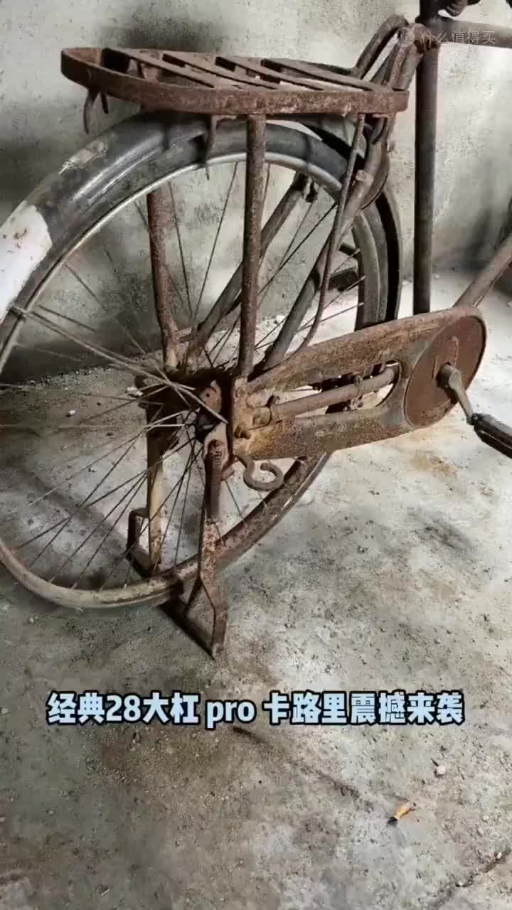 经典的28大杠谁骑过