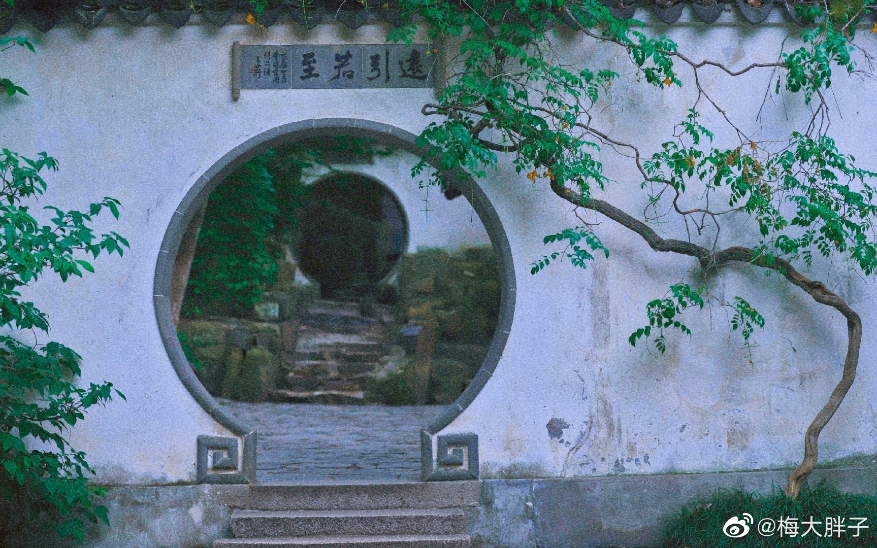 走进苏州园林,遇见清浅时光_高清图集_新浪网