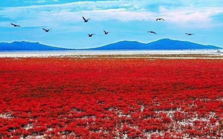 一个夏天都没出门？不如做一回“第一个看秋色的人”，可好？休闲区蓝鸢梦想 - Www.slyday.coM