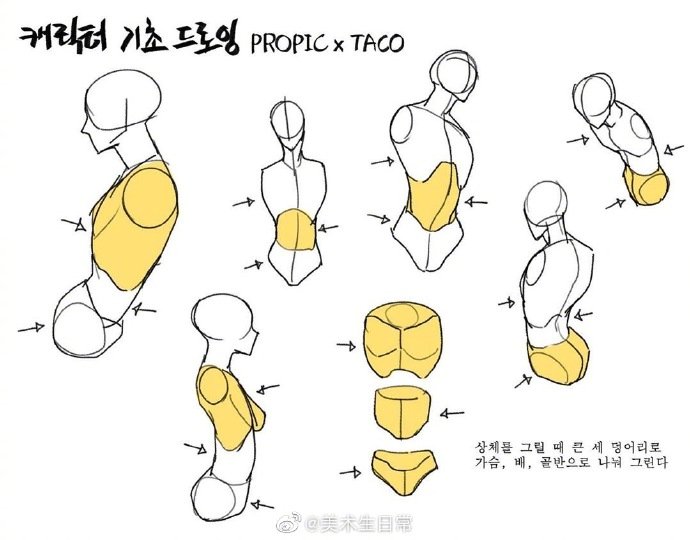 一组合人体上半身绘画素材自己拿去练习吧转需