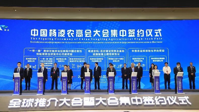 杨凌示范区与神州信息签约,“政府+科技+金融”为中国农业发展赋能__财经头条