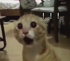 酸菜汤+铜火锅，一场重金属的盛宴！休闲区蓝鸢梦想 - Www.slyday.coM