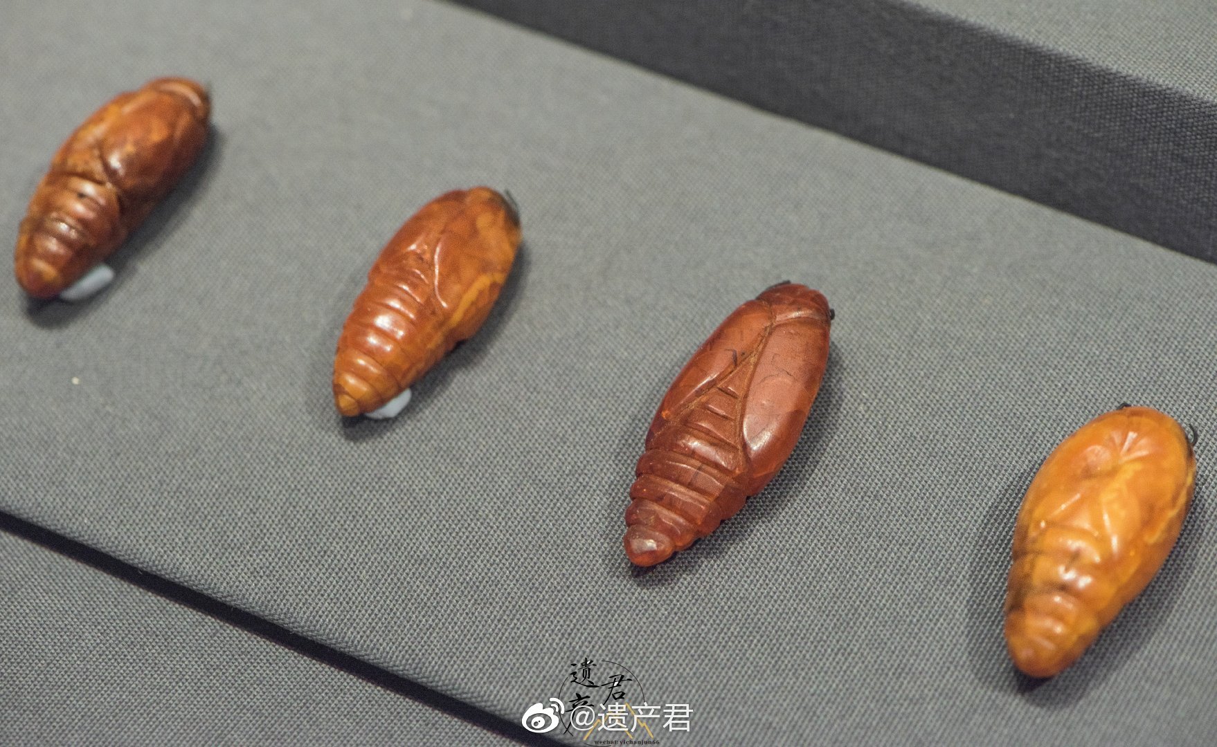 内蒙古博物院藏· 辽代琥珀雕蝉