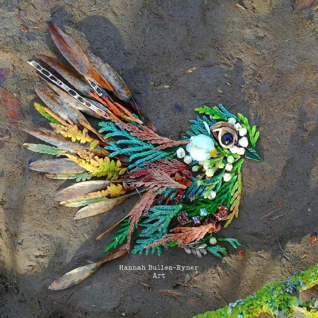 来自艺术家 hannah bullen-ryner 植物拼图作品欣赏