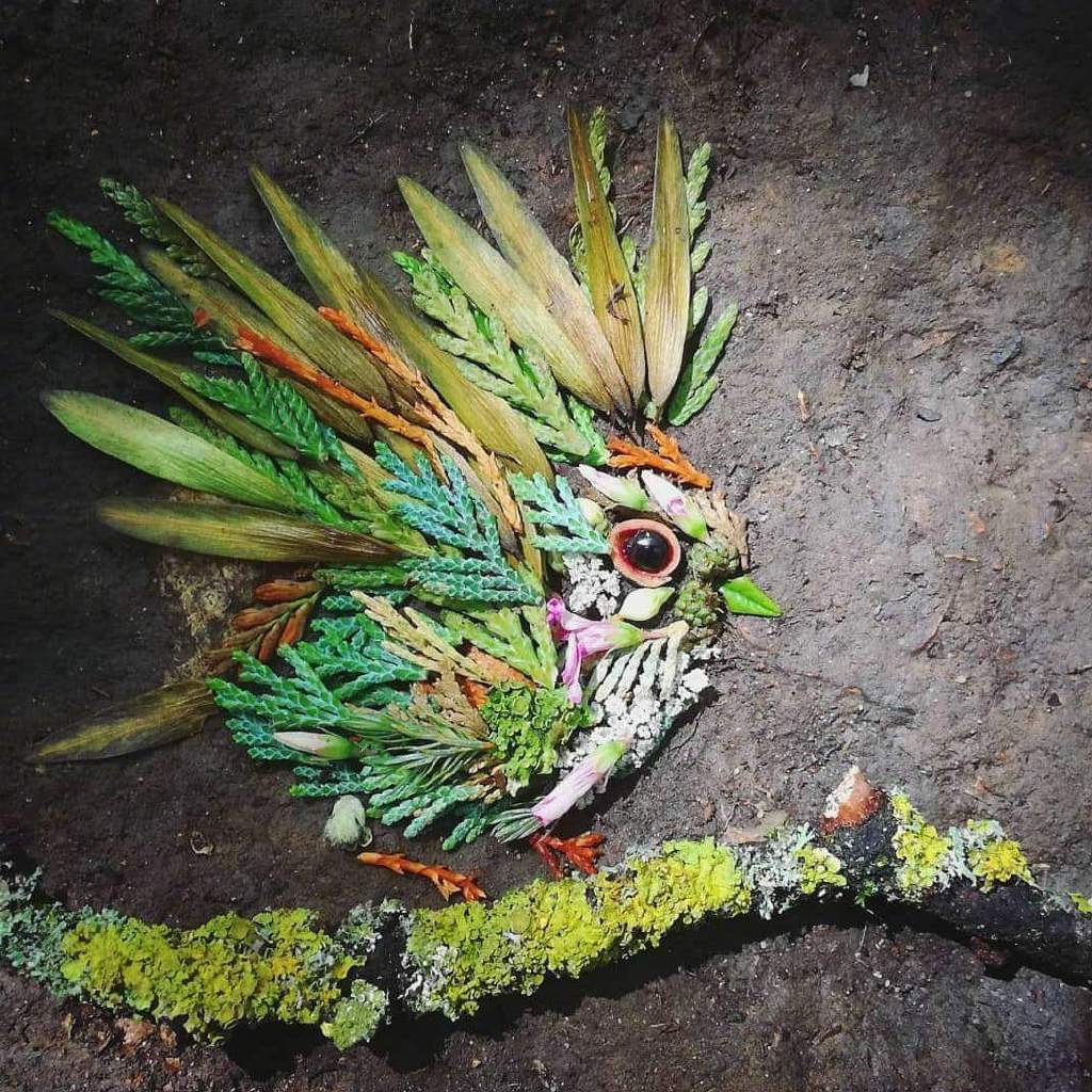 来自艺术家 hannah bullen-ryner 植物拼图作品欣赏