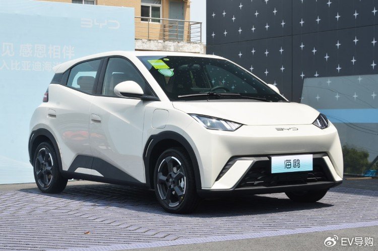 精品纯电小型车 第20万辆比亚迪海鸥正式下线-新浪汽车