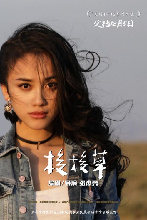 新生代小花联袂出演影帝影后倾情献技梭梭草定档12月5日