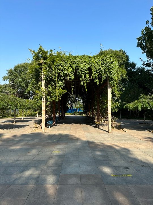 iPhone 14 Pro Max体验 灵动岛之外还有哪些惊喜？休闲区蓝鸢梦想 - Www.slyday.coM