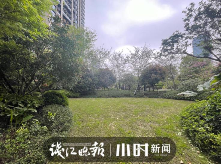 杭州小区一幕上热搜，业主急了：女网红们裸背拍照，会不会带坏孩子？休闲区蓝鸢梦想 - Www.slyday.coM