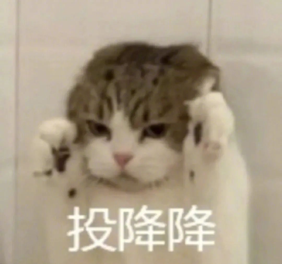 表情包 | 我一定能上岸 拿图点赞、吱声__财经头条
