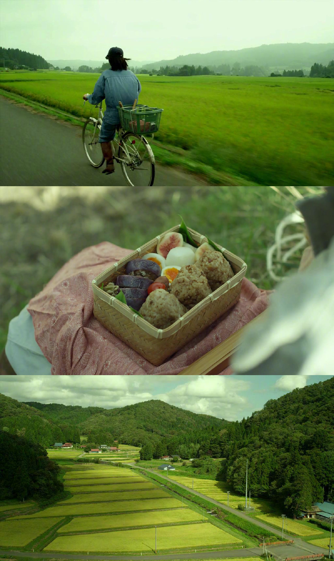 《小森林 夏秋篇》(2014)中的田野生活片段_高清图集_新浪网