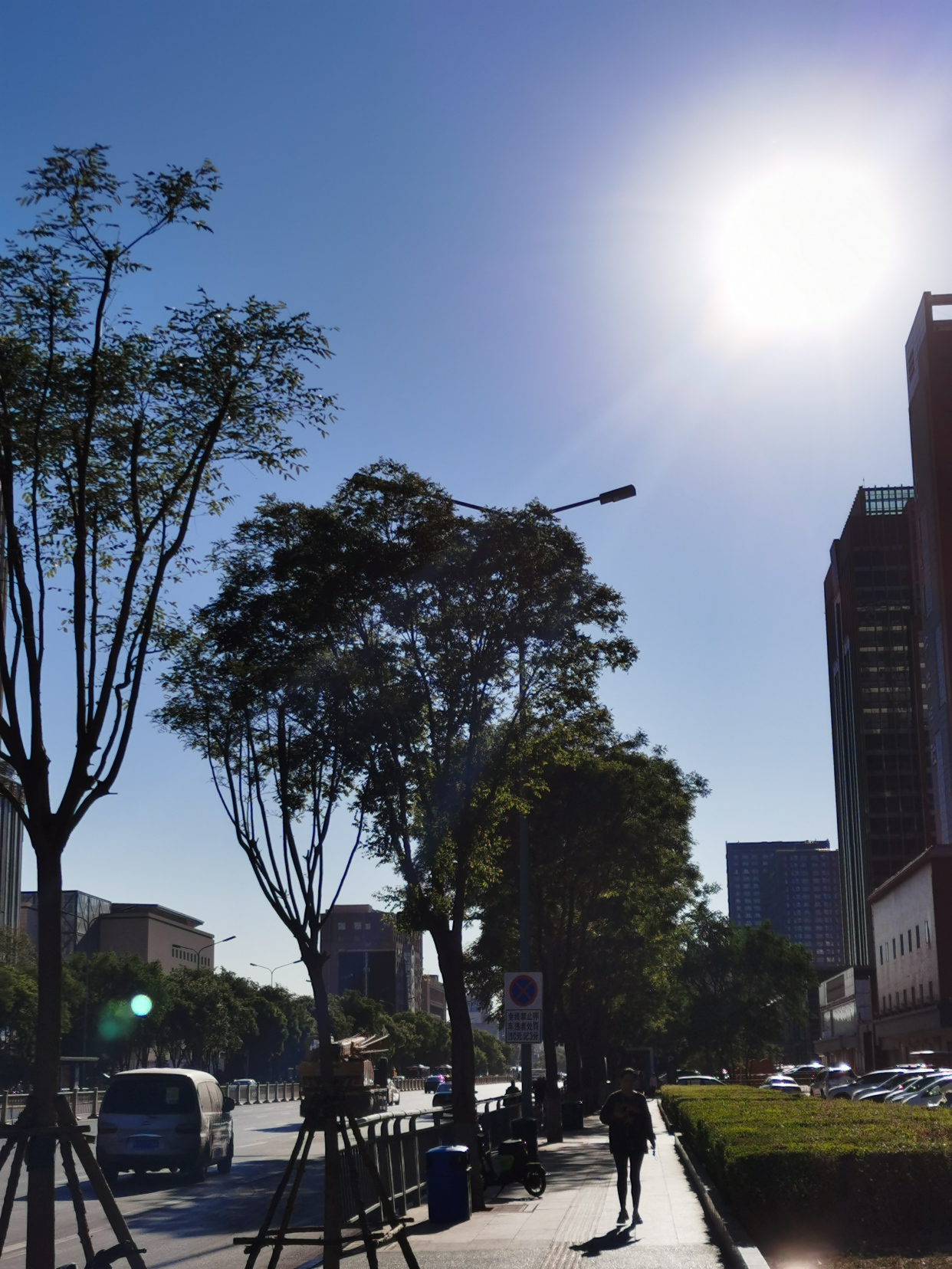 麦芒似的光芒所有的梦,都泊在灿烂明亮里,蓝色的天空干净得像镜子风伏