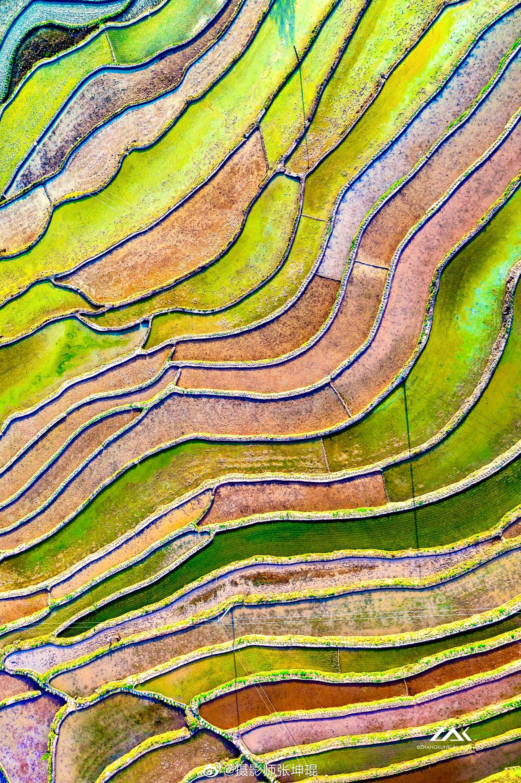 初春的重庆南川盐井梯田,南茶梯田,纵横蜿蜒在丘陵之间的奇观