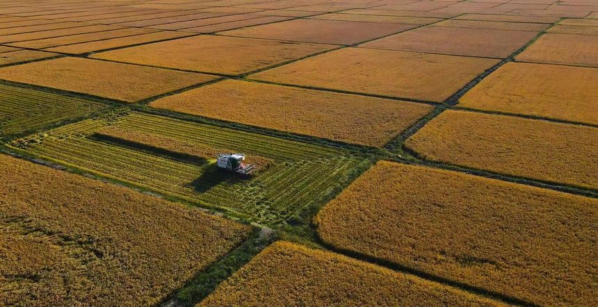 这，就是丰收中的黑龙江休闲区蓝鸢梦想 - Www.slyday.coM