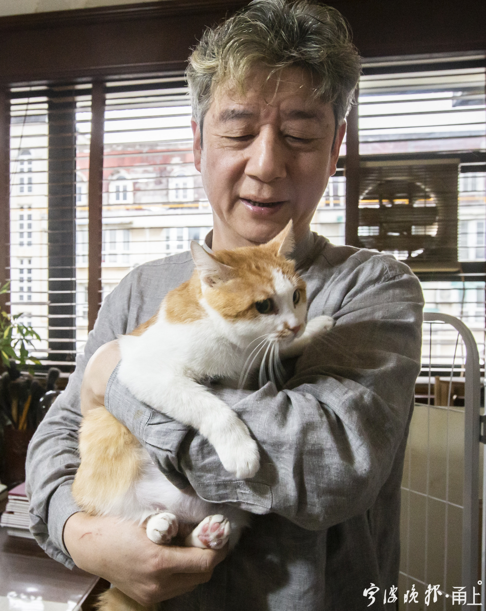宁波这位画家10年坚持救助流浪猫,每年花费达10万元