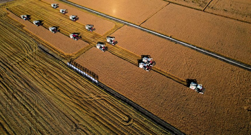 这，就是丰收中的黑龙江休闲区蓝鸢梦想 - Www.slyday.coM