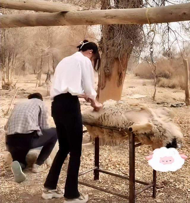 嘎羊少女,如何逃过"8分钟网红杀"宿命|抖音|少女|宿命_新浪新闻