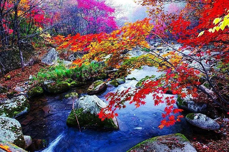 一个夏天都没出门？不如做一回“第一个看秋色的人”，可好？休闲区蓝鸢梦想 - Www.slyday.coM