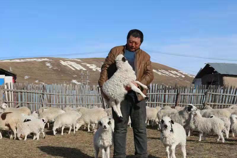 内蒙古苏沁农牧场:跑出"畜牧业"发展的加速度