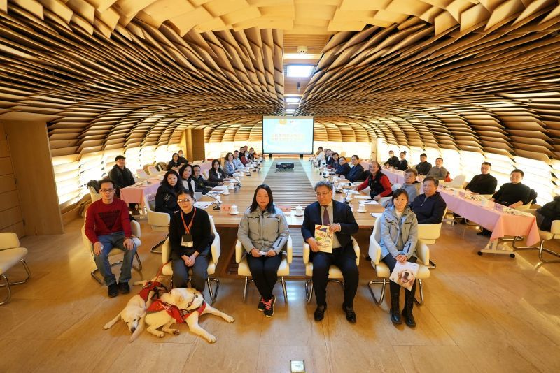 你是我的眼！“中国导盲犬”将赴北京冬残奥会休闲区蓝鸢梦想 - Www.slyday.coM