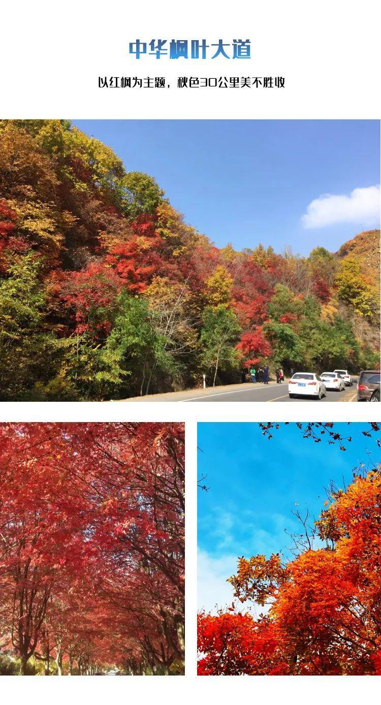 一个夏天都没出门？不如做一回“第一个看秋色的人”，可好？休闲区蓝鸢梦想 - Www.slyday.coM